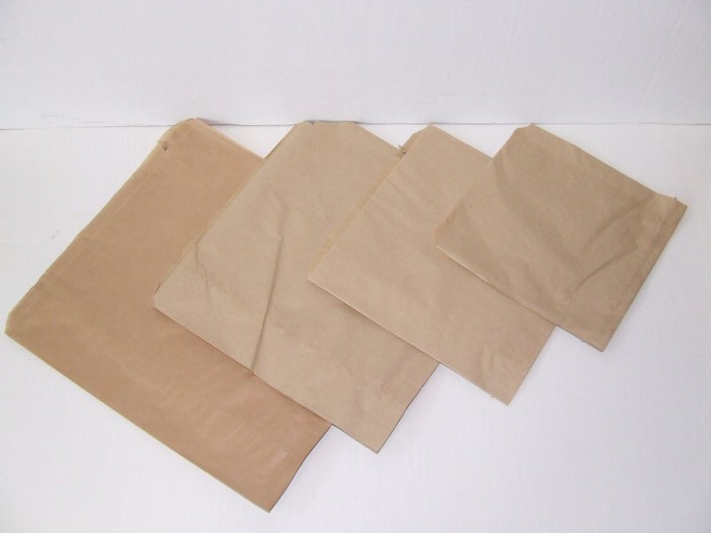 Brown Paper Bag 10x10 in